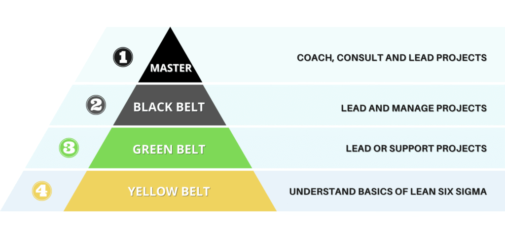 Lean Six Sigma